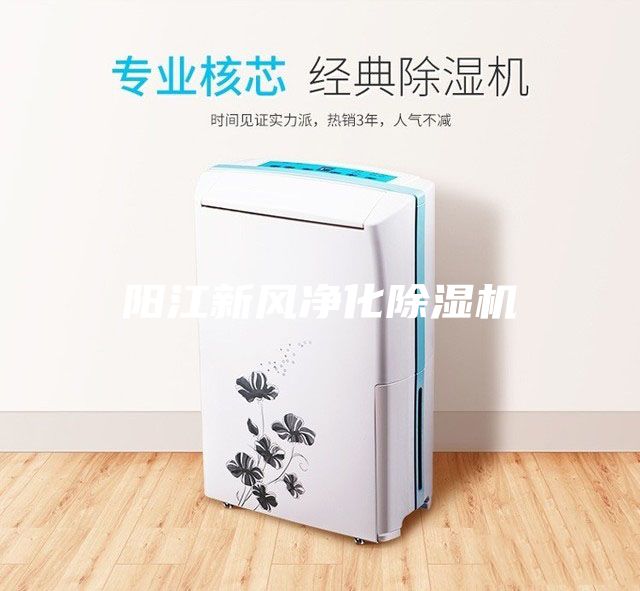 阳江新风净化除湿机