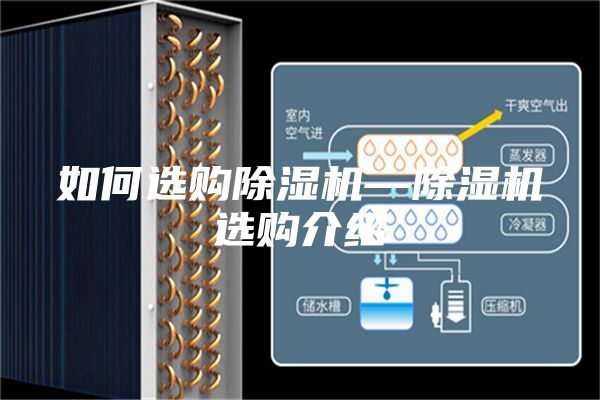如何选购除湿机—除湿机选购介绍