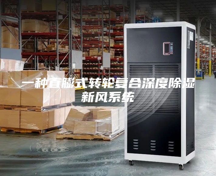 一种直膨式转轮复合深度除湿新风系统