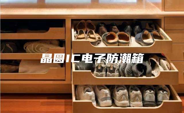晶圆IC电子防潮箱