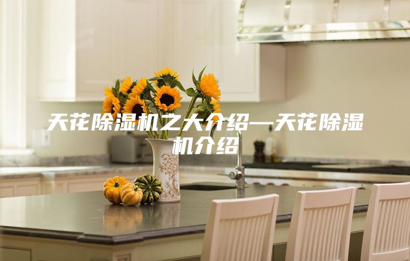 天花除湿机之大介绍—天花除湿机介绍
