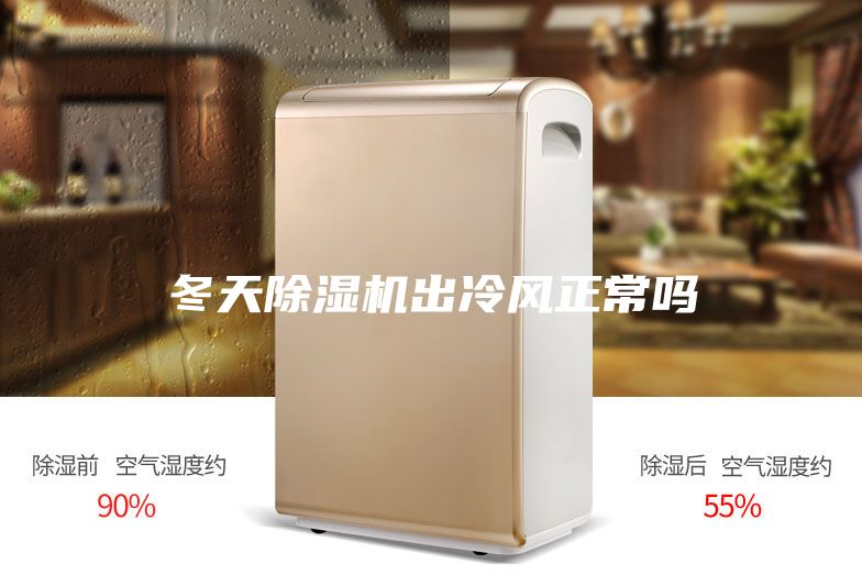 冬天除湿机出冷风正常吗