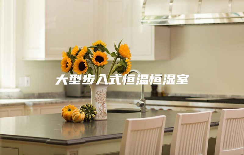大型步入式恒温恒湿室