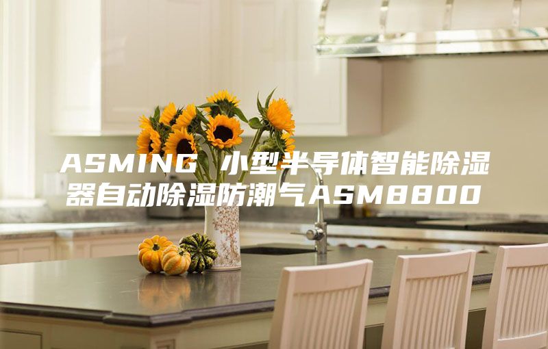 ASMING 小型半导体智能除湿器自动除湿防潮气ASM8800