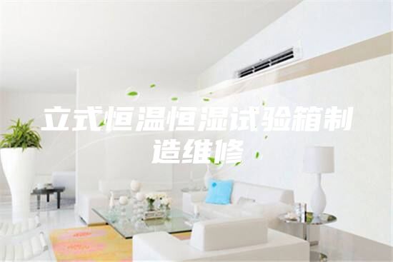 立式恒温恒湿试验箱制造维修