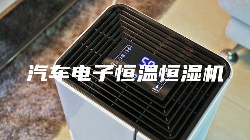 汽车电子恒温恒湿机