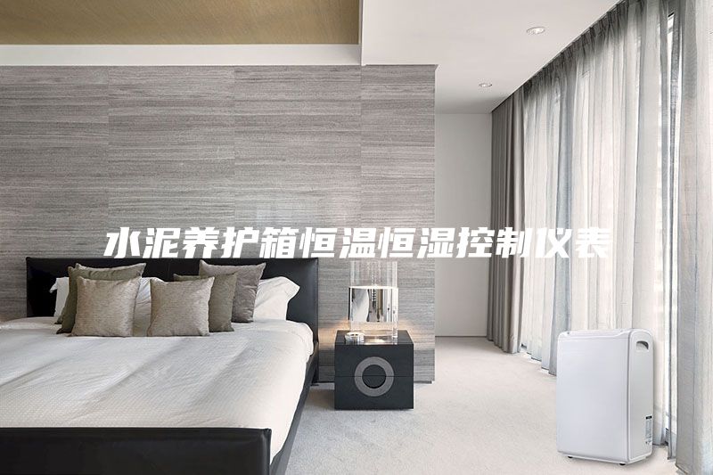 水泥养护箱恒温恒湿控制仪表