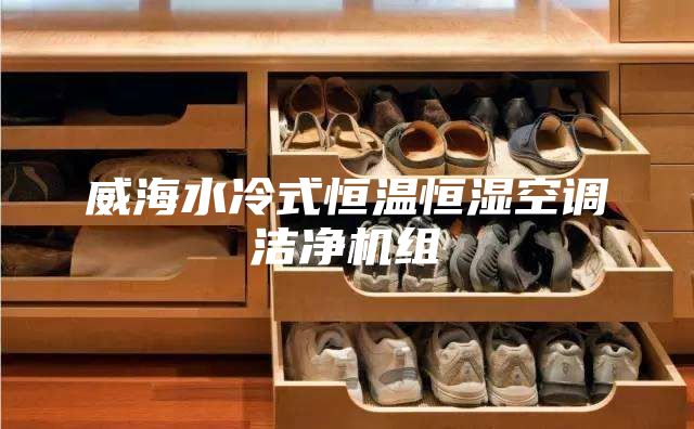 威海水冷式恒温恒湿空调洁净机组