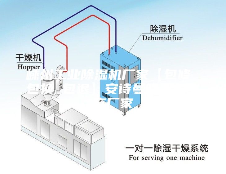 嵊州工业除湿机厂家【包修 包换 包退】安诗曼除湿机生产厂家