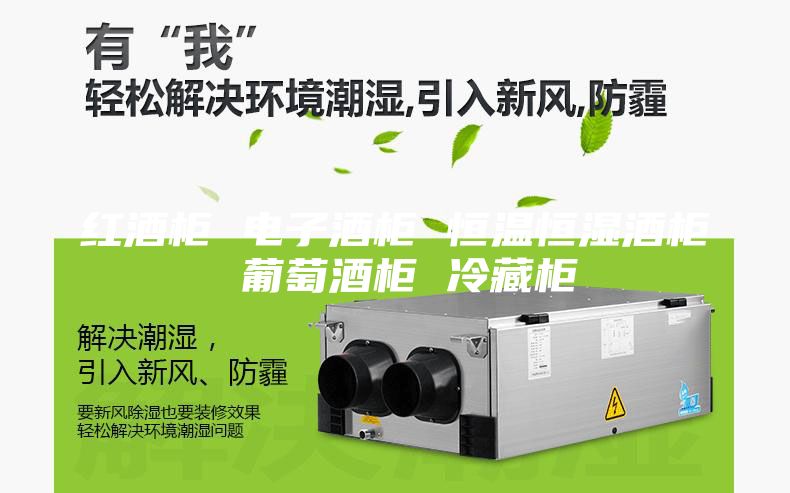 红酒柜 电子酒柜 恒温恒湿酒柜 葡萄酒柜 冷藏柜