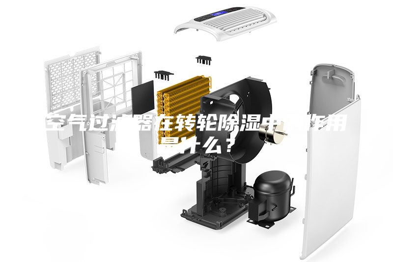 空气过滤器在转轮除湿中的作用是什么？