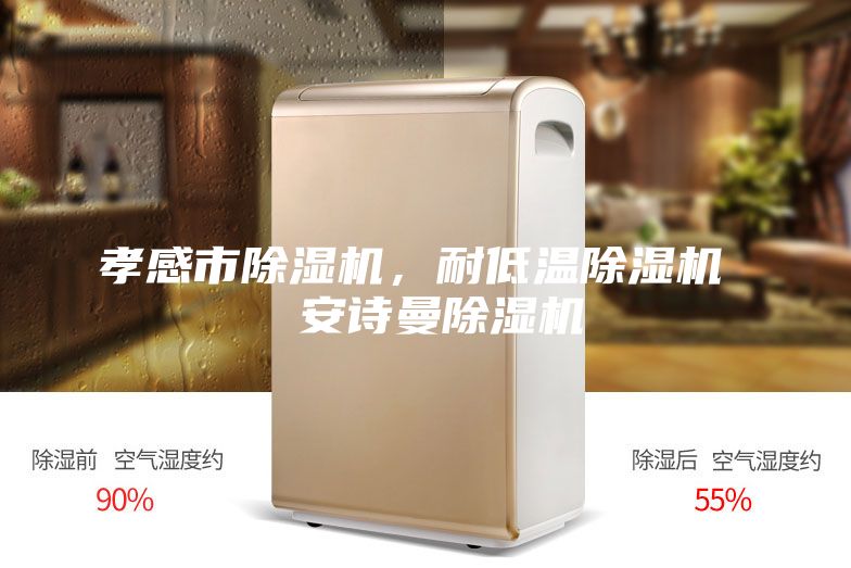 孝感市除湿机，耐低温除湿机  安诗曼除湿机