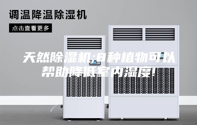天然除湿机;8种植物可以帮助降低室内湿度!