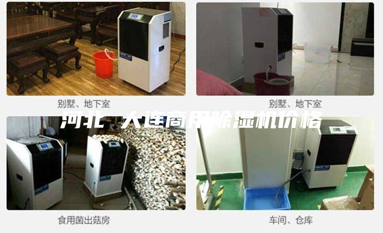 河北 大连商用除湿机价格