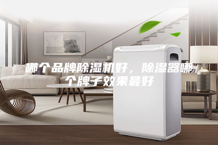 哪个品牌除湿机好，除湿器哪个牌子效果最好