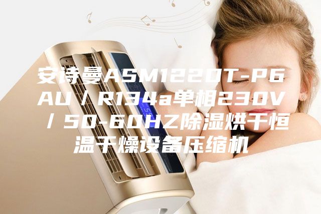 安诗曼ASM122DT-P6AU／R134a单相230V／50-60HZ除湿烘干恒温干燥设备压缩机