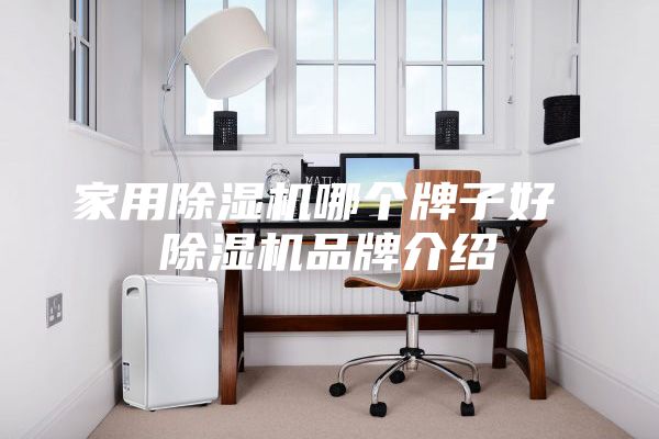 家用除湿机哪个牌子好 除湿机品牌介绍