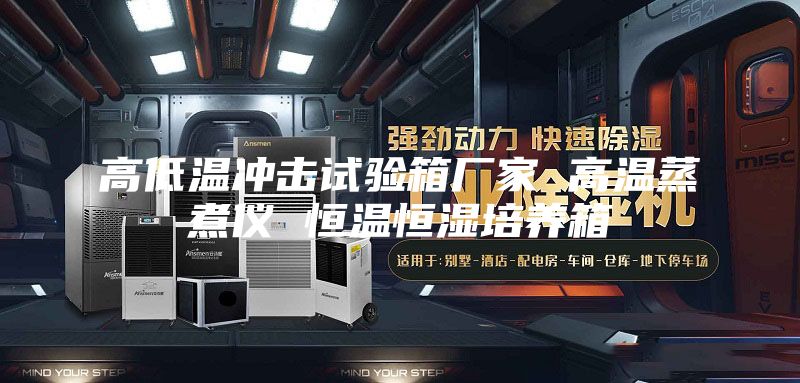 高低温冲击试验箱厂家 高温蒸煮仪 恒温恒湿培养箱