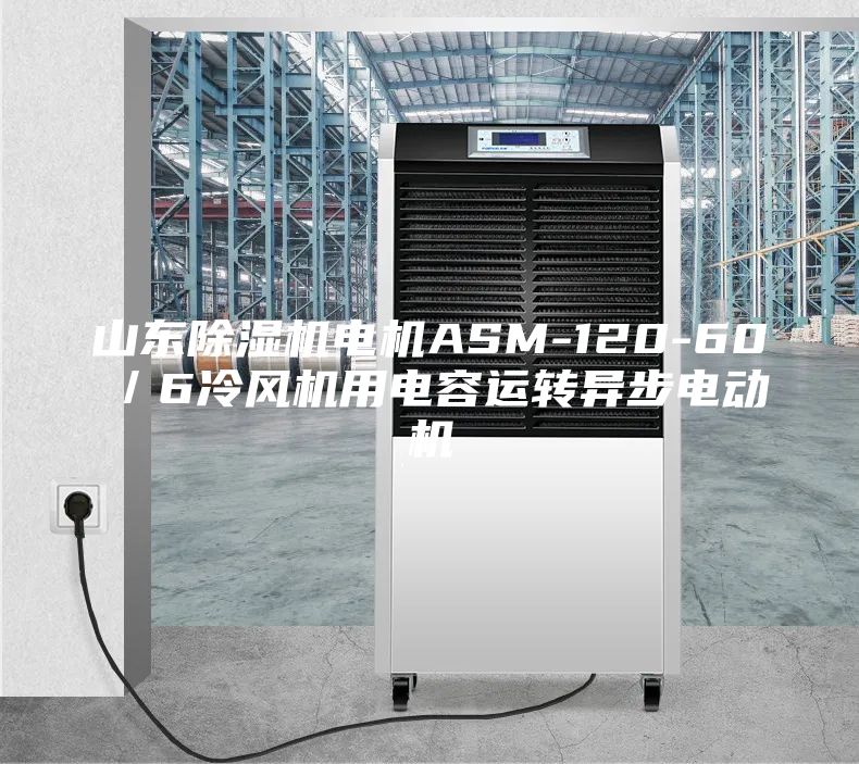 山东除湿机电机ASM-120-60／6冷风机用电容运转异步电动机