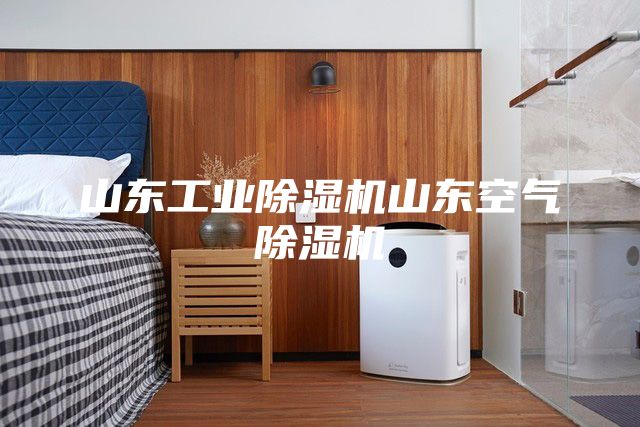山东工业除湿机山东空气除湿机