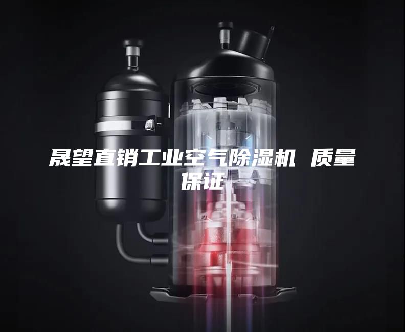 晟望直销工业空气除湿机 质量保证