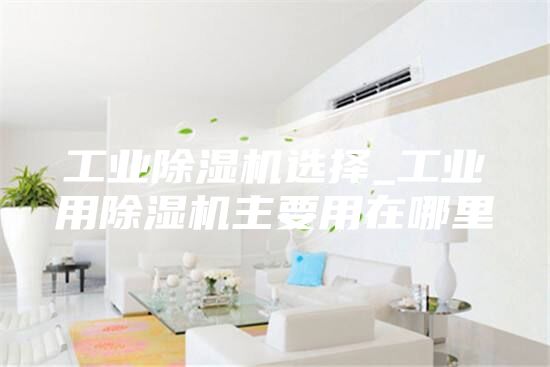 工业除湿机选择_工业用除湿机主要用在哪里