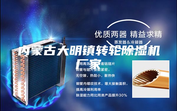 内蒙古大明镇转轮除湿机厂家