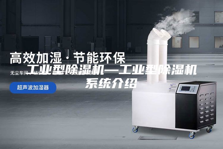 工业型除湿机—工业型除湿机系统介绍