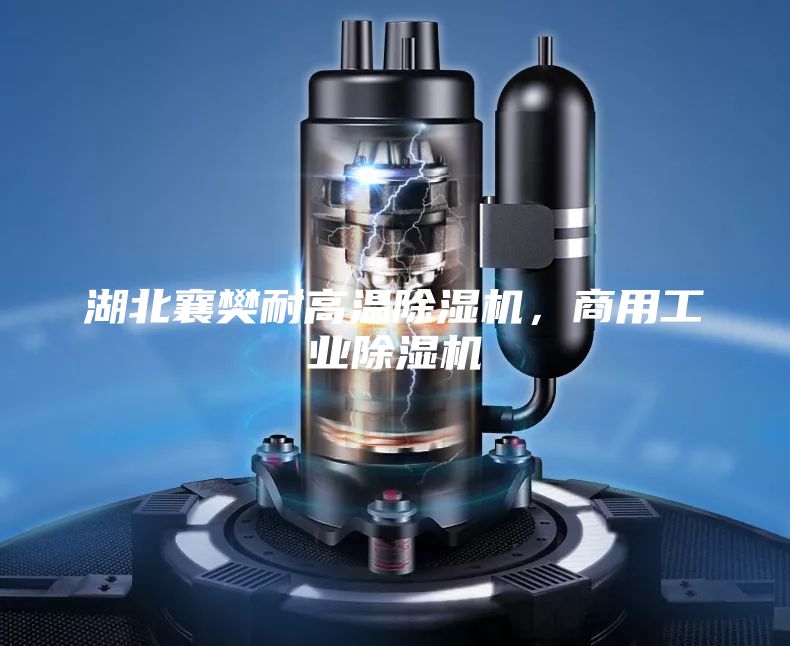 湖北襄樊耐高温除湿机，商用工业除湿机