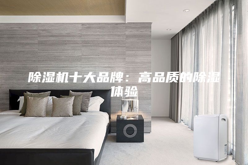 除湿机十大品牌：高品质的除湿体验