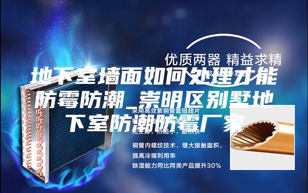 地下室墙面如何处理才能防霉防潮_崇明区别墅地下室防潮防霉厂家