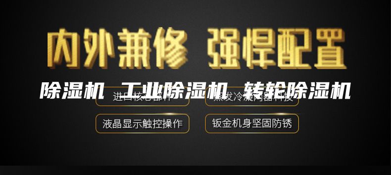 除湿机 工业除湿机 转轮除湿机
