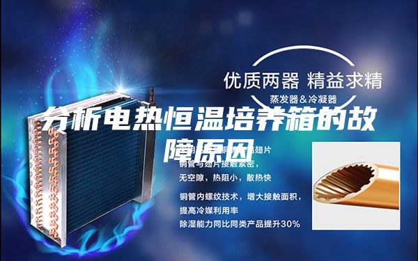 分析电热恒温培养箱的故障原因
