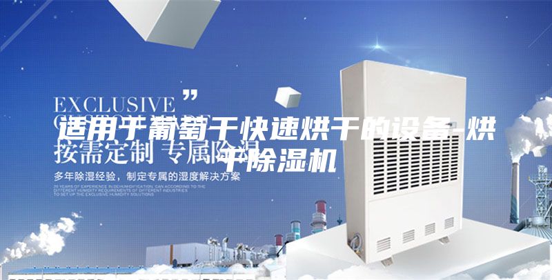 适用于葡萄干快速烘干的设备-烘干除湿机