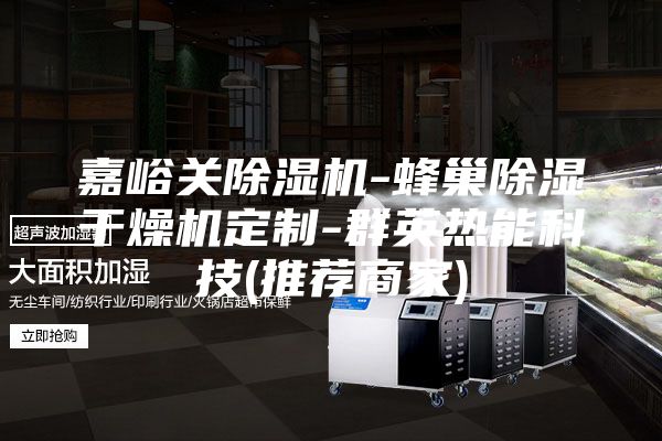 嘉峪关除湿机-蜂巢除湿干燥机定制-群英热能科技(推荐商家)