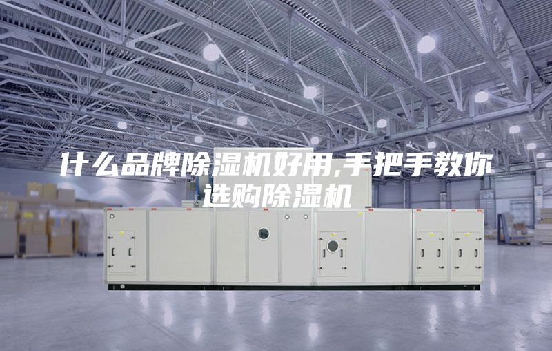 什么品牌除湿机好用,手把手教你选购除湿机