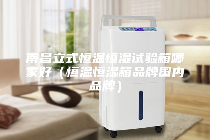 南昌立式恒温恒湿试验箱哪家好（恒温恒湿箱品牌国内品牌）
