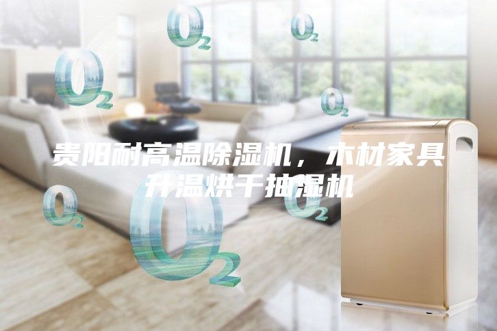 贵阳耐高温除湿机，木材家具升温烘干抽湿机