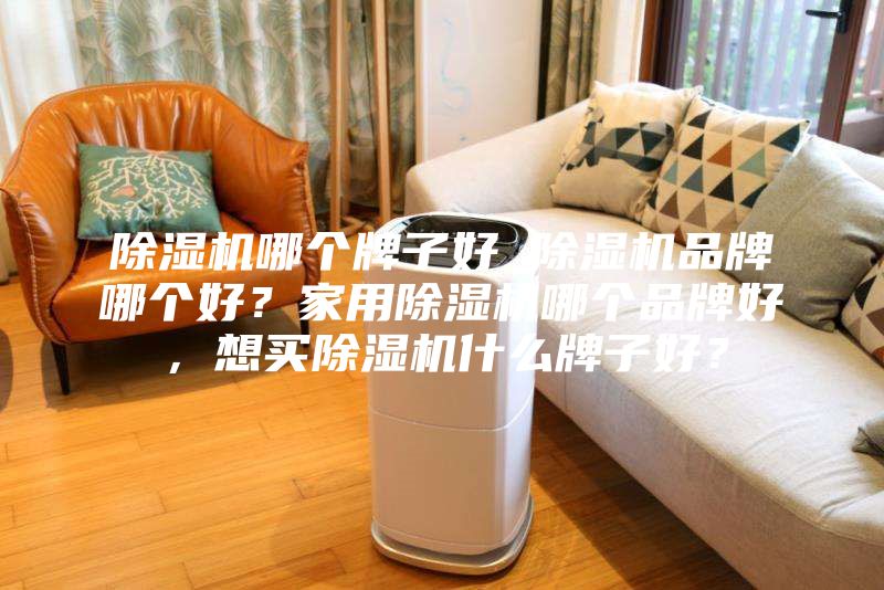 除湿机哪个牌子好 除湿机品牌哪个好？家用除湿机哪个品牌好，想买除湿机什么牌子好？