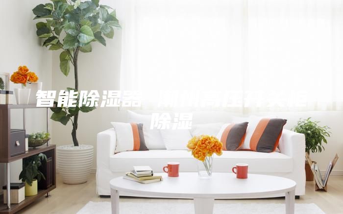 智能除湿器 潮州高压开关柜除湿