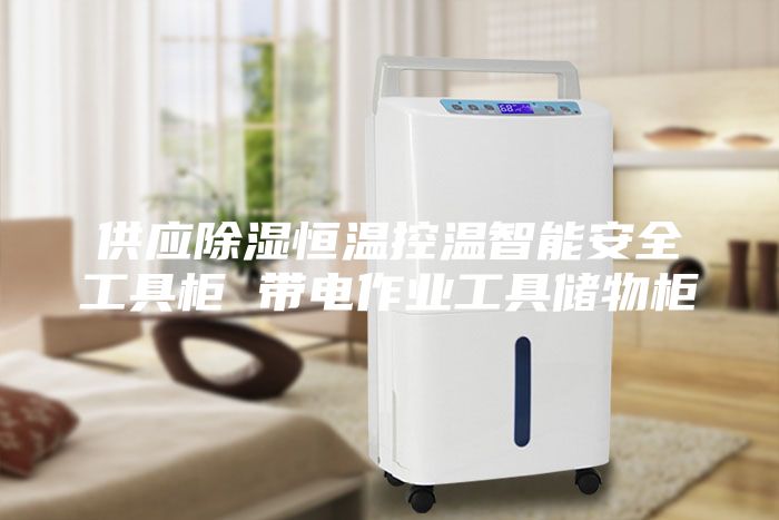 供应除湿恒温控温智能安全工具柜 带电作业工具储物柜