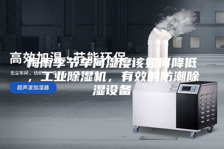 梅雨季节车间湿度该如何降低，工业除湿机，有效的防潮除湿设备