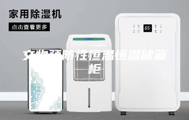 文物预防性恒温恒湿储藏柜