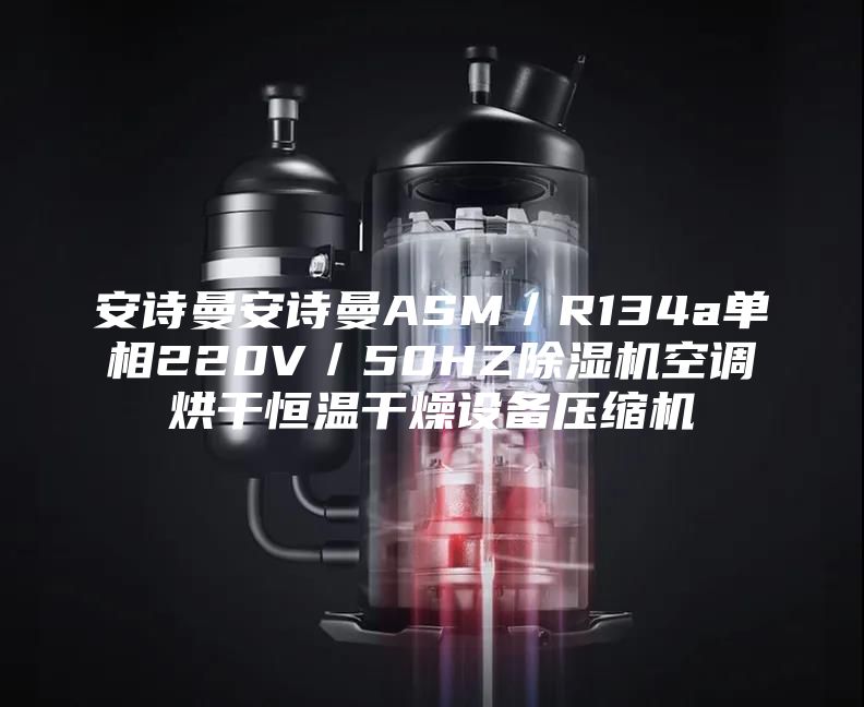安诗曼安诗曼ASM／R134a单相220V／50HZ除湿机空调烘干恒温干燥设备压缩机