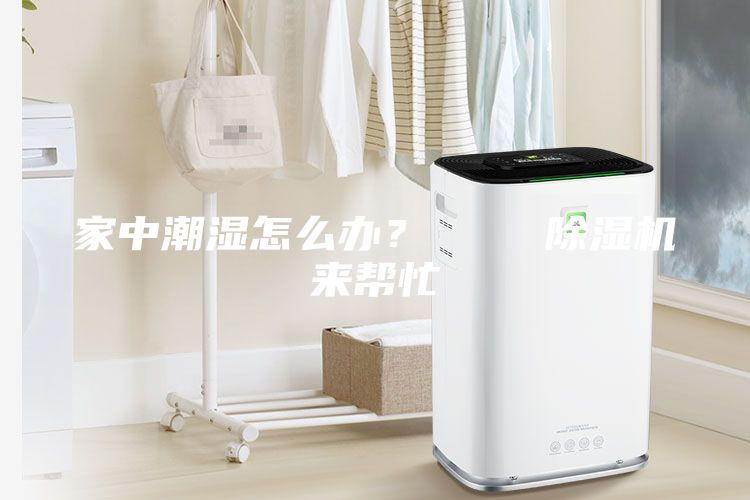 家中潮湿怎么办？    除湿机来帮忙