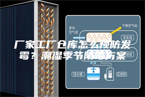 厂家工厂仓库怎么预防发霉？潮湿季节防霉方案