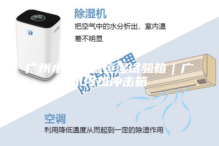 广州小型恒温恒湿试验箱｜广东冷热冲击箱