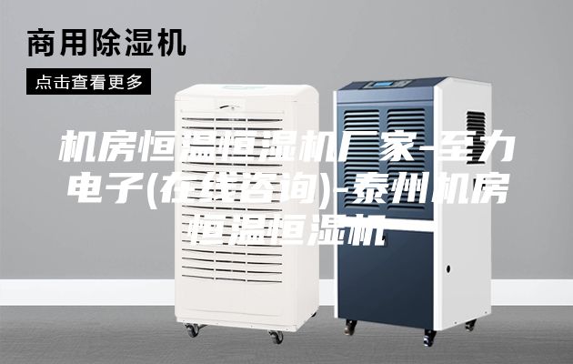 机房恒温恒湿机厂家-至力电子(在线咨询)-泰州机房恒温恒湿机