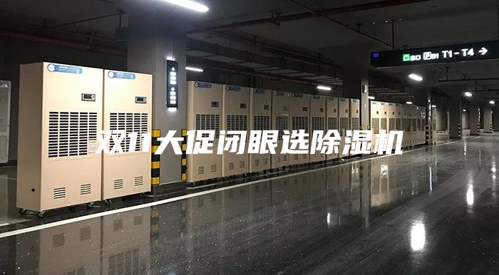 双11大促闭眼选除湿机