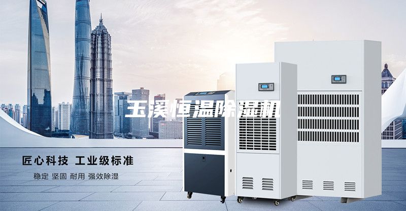 玉溪恒温除湿机